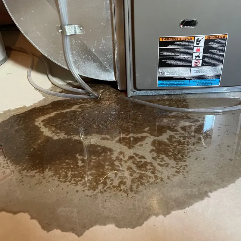 Pipe Burst and Leak Restoration in Breckinridge Center, KY