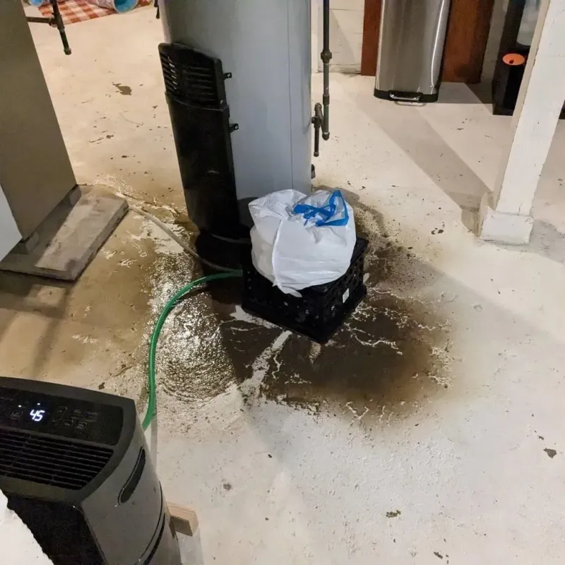 Sewage Backup Cleanup Service in Breckinridge Center, KY